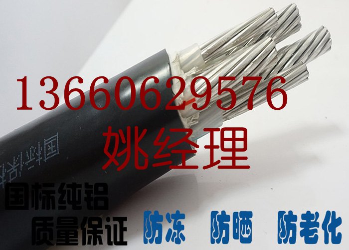 珠江花環(huán)電線電纜