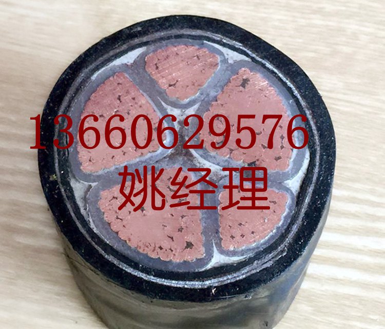 花環珠江電線電纜