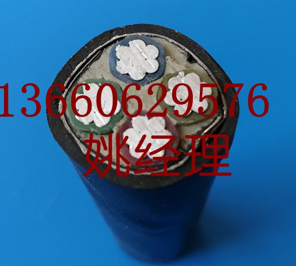 花環(huán)珠江電纜電線